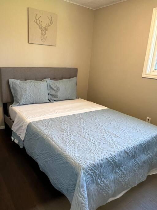 Family Friendly Cottage ☆Walking Distance To Beach Lions Head Εξωτερικό φωτογραφία